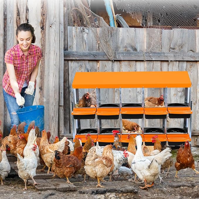 Chicken Nesting Boxes, Roll Away Nesting Box 10 Hole Metal Chicken Egg with Leg for Chicken Coop, Swing Perch and Rollout Egg Collection, Orange