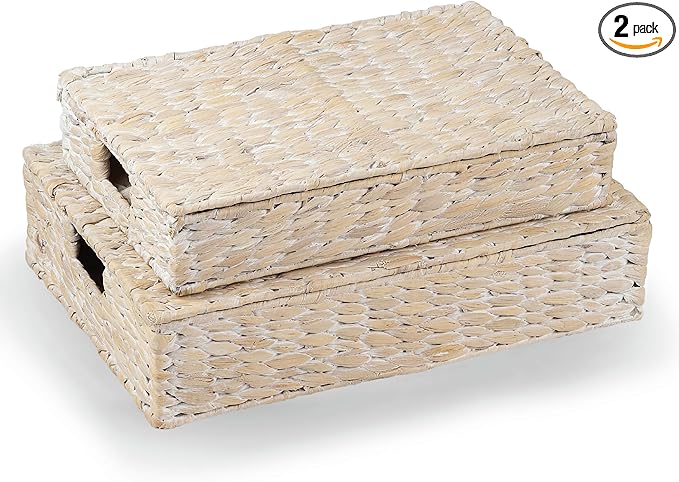 Set of 2 Decorative Storage Boxes With Lids for Home Decor, Shelves