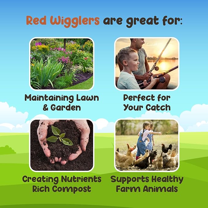 Red Wigglers Composting Worms - 3/4lb Red Worms for Composting Bin, for Plants or Gardening, Compost Worm for Soil Fertility & Worm Farm, Easy to Manage