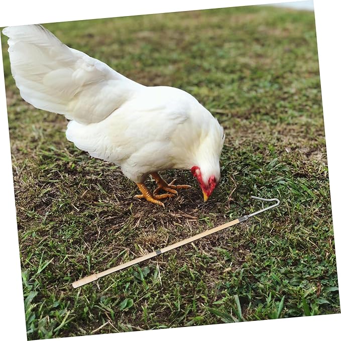 Heavy Duty Chicken Picker Hook Pole Durable Poultry Catching Tool for Efficient Handling of Chickens Ducks and Geese Farms Versatile Design for Easy Use Chicken