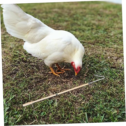 Chicken Catcher Leg Hook Farm Equipment Poultry Management Tool Animal Net for Chicken Supplies