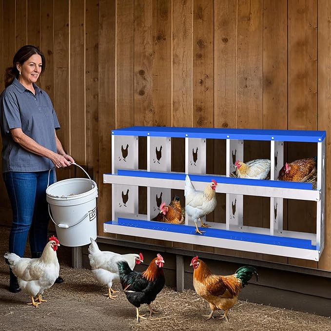 10-Hole Galvanized Chicken Nesting Box, Roll Away Egg Collection, Rustproof Hen Laying Boxes with Legs, Ventilated & Easy Install, Premium Poultry Nest for Chicken Coop/Duck House + Fake Training Eggs