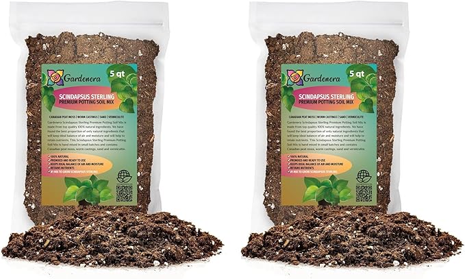Gardenera Scindapsus Sterling Plant Potting Soil - All-Natural Blend for Thriving Scindapsus Sterling Plants - Boosts Root Health and Striking Foliage - 10 Quart