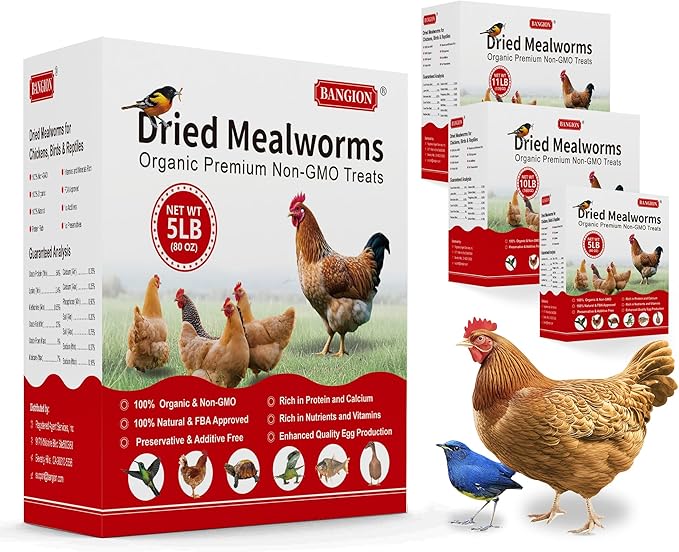Organic Dried Mealworms for Chickens 5 LB Natural Non-GMO Mealworms High Protein Chickens Feed Meal Worms for Chicken Wild Birds Bluebirds Ducks Turtles Reptiles Laying Hens Treats & Food