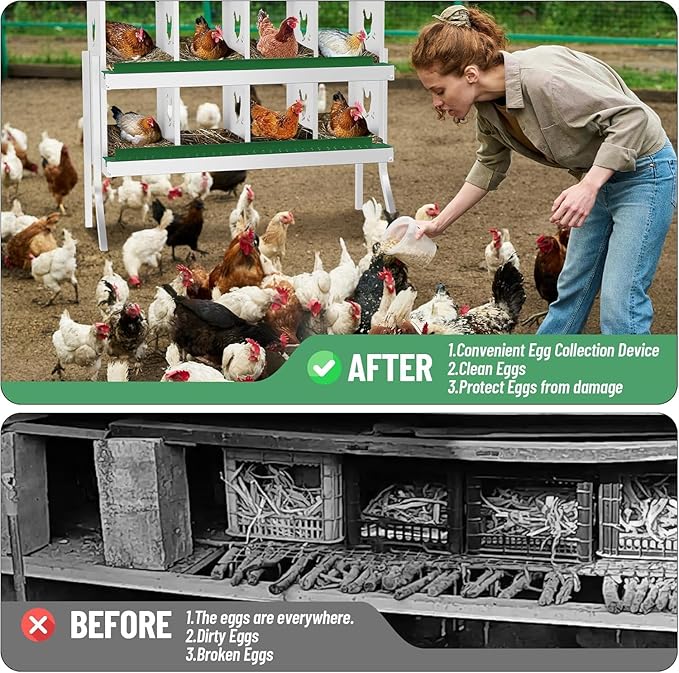 Metal Chicken Nesting Boxes, Heavy-Duty Galvanized Steel Egg Laying Box with 8 Compartments, Rustproof, Easy to Install & Clean, Wall-Mountable Design for Poultry Coops- Green with Stand
