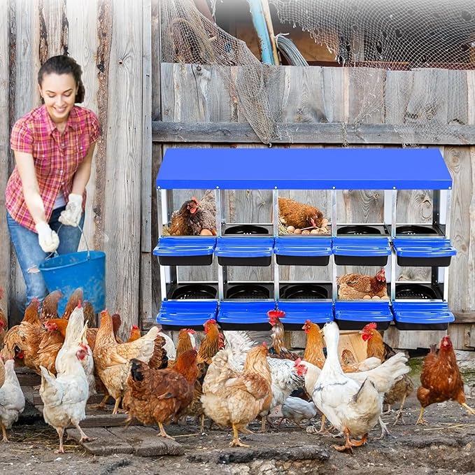 Chicken Nesting Box,10 Hole 2 Layer Hen Nest Boxes, Roll-Away Egg Collection System with Ventilation Holes，Rustproof Plastic Tray & Keyhole Mounting, Chicken Laying Box