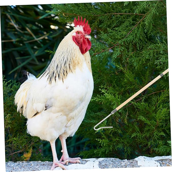 Garneck Animal Catch Net Chicken Legs Butchering Equipment Chicken Catcher Hook Poultry Handling Tool