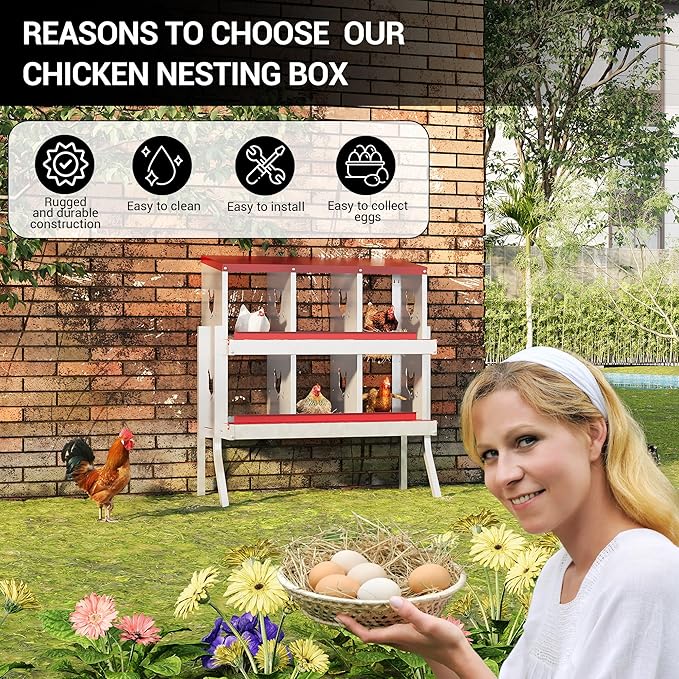 Heavy-Duty 6-Compartment Chicken Nesting Boxes with Roll Away Feature - Easy Clean Pull-Out Trays, Built-in Perch | Wall Mount/Free Standing Hen Laying Nests - Premium Poultry Egg Collection Solution